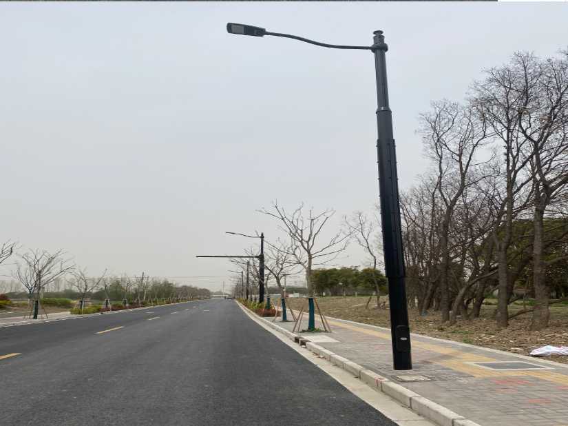 范县上海综合杆 太阳能路灯工程